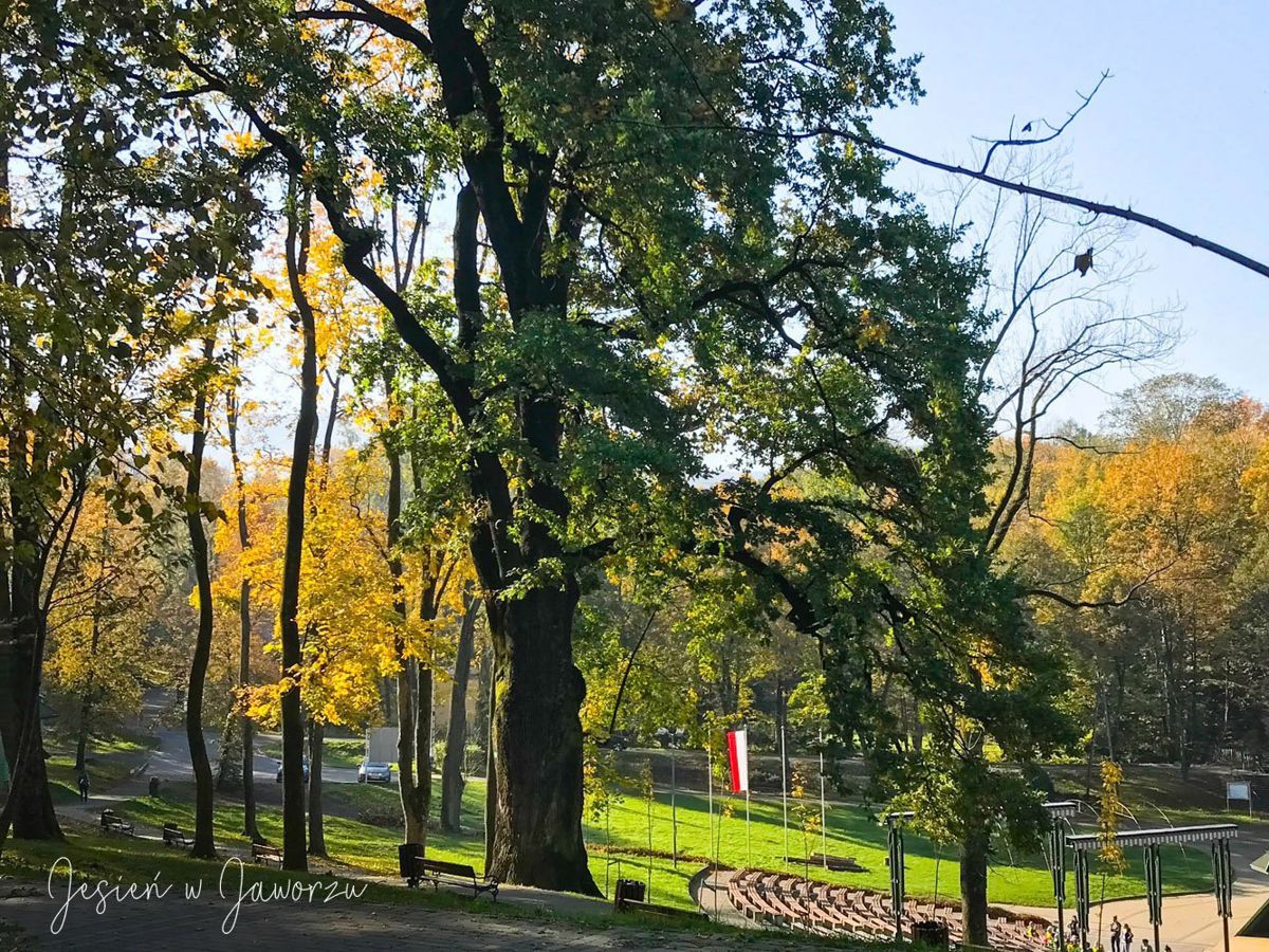 Koralowa Sala Bankietowa